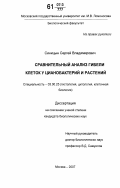 Синицын, Сергей Владимирович. Сравнительный анализ гибели клеток у цианобактерий и растений: дис. кандидат биологических наук: 03.00.25 - Гистология, цитология, клеточная биология. Москва. 2007. 135 с.
