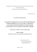 Касаткина Евгения Борисовна. Ссыльные уроженцы Кавказа в российской провинции во второй половине XIX – начале XX века: социальная адаптация и взаимоотношения с региональными органами власти (на материалах Вятской губернии): дис. кандидат наук: 07.00.02 - Отечественная история. ФГАОУ ВО «Уральский федеральный университет имени первого Президента России Б.Н. Ельцина». 2019. 264 с.
