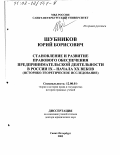 Шубников, Юрий Борисович. Становление и развитие правового обеспечения предпринимательской деятельности в России IХ - начала ХХ вв.: Историко-теоретическое исследование: дис. доктор юридических наук: 12.00.01 - Теория и история права и государства; история учений о праве и государстве. Санкт-Петербург. 2002. 363 с.