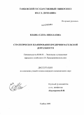 Ильина, Елена Николаевна. Стратегическое планирование предпринимательской деятельности: дис. кандидат экономических наук: 08.00.05 - Экономика и управление народным хозяйством: теория управления экономическими системами; макроэкономика; экономика, организация и управление предприятиями, отраслями, комплексами; управление инновациями; региональная экономика; логистика; экономика труда. Тамбов. 2009. 201 с.