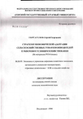 Гергаулов, Сергей Георгиевич. Стратегия экономической адаптации сельскохозяйственных товаропроизводителей к рыночным условиям хозяйствования (на материалах Республики Северная Осетия - Алания): дис. кандидат экономических наук: 08.00.05 - Экономика и управление народным хозяйством: теория управления экономическими системами; макроэкономика; экономика, организация и управление предприятиями, отраслями, комплексами; управление инновациями; региональная экономика; логистика; экономика труда. Нальчик. 2006. 166 с.