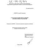 Ильичев, Алексей Геннадьевич. Стратегия холдингового развития промышленных предприятий: дис. кандидат экономических наук: 08.00.05 - Экономика и управление народным хозяйством: теория управления экономическими системами; макроэкономика; экономика, организация и управление предприятиями, отраслями, комплексами; управление инновациями; региональная экономика; логистика; экономика труда. Саратов. 2004. 269 с.