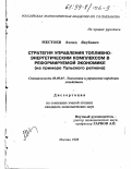Местоев, Ахмед Якубович. Стратегия управления топливно-энергетическим комплексом в реформируемой экономике: На прим. Тульск. региона: дис. кандидат экономических наук: 08.00.05 - Экономика и управление народным хозяйством: теория управления экономическими системами; макроэкономика; экономика, организация и управление предприятиями, отраслями, комплексами; управление инновациями; региональная экономика; логистика; экономика труда. Москва. 1998. 214 с.