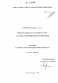 Старунов, Виктор Вячеславович. Строение и развитие туловищного мозга в онтогенезе Nereididae (Annelida, Polychaeta): дис. кандидат биологических наук: 03.02.04 - Зоология. Санкт-Петербург. 2011. 194 с.