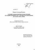 Пашкеев, Александр Игоревич. Строение ванны печи и шлакообразование в условиях производства углеродистого феррохрома из руд массива Рай-Из: дис. кандидат технических наук: 05.16.02 - Металлургия черных, цветных и редких металлов. Челябинск. 2008. 178 с.