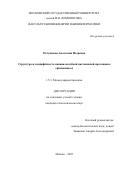 Петушкова Анастасия Игоревна. Структура и специфичность папаин-подобной цистеиновой протеиназы тритикаина-α: дис. кандидат наук: 00.00.00 - Другие cпециальности. «Московский государственный университет имени М.В. Ломоносова». 2025. 131 с.
