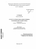 Гурчиани, Камила Сергеевна. Структура профессионального имиджа руководителей среднего звена: дис. кандидат психологических наук: 19.00.05 - Социальная психология. Ярославль. 2011. 190 с.