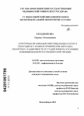 Позднякова, Лариса Леонидовна. Структурная организация синусоидальных клеток и гепатоцитов у больных хроническим вирусным гепатитом С в зависимости от стадии фиброза в условиях комбинированной противовирусной терапии: дис. кандидат медицинских наук: 14.03.02 - Патологическая анатомия. Новосибирск. 2010. 151 с.