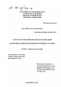 Маслова, Светлана Петровна. Структурно-функциональная организация подземных побегов клубнеобразующих растений: дис. кандидат биологических наук: 03.00.12 - Физиология и биохимия растений. Сыктывкар. 1999. 112 с.