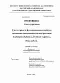 Прокопцева, Ольга Сергеевна. Структурные и функциональные свойства цитокинин-связывающих белков растений Arabidopsis thaliana L., Hordeum vulgare L., Oryza sativa L.: дис. кандидат биологических наук: 03.00.05 - Ботаника. Москва. 2008. 106 с.