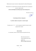 Галиакберова Илиза Айдаровна. Судебная защита авторских и смежных прав: дис. кандидат наук: 00.00.00 - Другие cпециальности. «Казанский (Приволжский) федеральный университет». 2026. 212 с.
