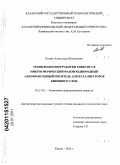 Катаев, Александр Николаевич. Технология переработки гиббсита в микросферический фазовооднородный алюмооксидный носитель для катализаторов кипящего слоя: дис. кандидат технических наук: 05.17.01 - Технология неорганических веществ. Казань. 2010. 157 с.