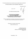 Пугачев, Игорь Николаевич. Теоретические принципы и методы повышения эффективности функционирования транспортных систем городов: дис. доктор технических наук: 05.22.01 - Транспортные и транспортно-технологические системы страны, ее регионов и городов, организация производства на транспорте. Екатеринбург. 2010. 369 с.