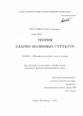 Мостовых, Павел Сергеевич. Теория ударно-волновых структур: дис. кандидат физико-математических наук: 01.02.05 - Механика жидкости, газа и плазмы. Санкт-Петербург. 2012. 149 с.