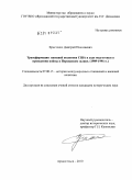 Христенко, Дмитрий Николаевич. Трансформация внешней политики США в ходе подготовки и проведения войны в Персидском заливе: 1989-1991 гг.: дис. кандидат исторических наук: 07.00.15 - История международных отношений и внешней политики. Архангельск. 2010. 285 с.