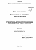 Куклин, Андрей Владимирович. Трудовой потенциал сельского хозяйства административного района: дис. кандидат экономических наук: 08.00.05 - Экономика и управление народным хозяйством: теория управления экономическими системами; макроэкономика; экономика, организация и управление предприятиями, отраслями, комплексами; управление инновациями; региональная экономика; логистика; экономика труда. Киров. 2006. 180 с.