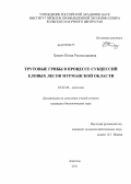 Химич, Юлия Ростиславовна. Трутовые грибы в процессе сукцессий еловых лесов Мурманской области: дис. кандидат биологических наук: 03.02.08 - Экология (по отраслям). Апатиты. 2011. 173 с.