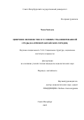 Чжан Хайлунь. Цифровое неравенство в условиях урбанизированной среды (на примере китайских городов): дис. кандидат наук: 00.00.00 - Другие cпециальности. ФГБОУ ВО «Санкт-Петербургский государственный университет». 2025. 224 с.