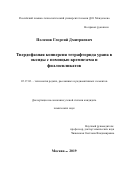 Поленов Георгий Дмитриевич. Твердофазная конверсия тетрафторида урана в оксиды с помощью кремнезема и филлосиликатов: дис. кандидат наук: 05.17.02 - Технология редких, рассеянных и радиоактивных элементов. ФГБОУ ВО «Российский химико-технологический университет имени Д.И. Менделеева». 2019. 155 с.