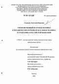 Семенова, Анастасия Юрьевна. Уполномоченный по правам человека в механизме обеспечения прав и свобод человека и гражданина в Российской Федерации: дис. кандидат юридических наук: 12.00.02 - Конституционное право; муниципальное право. Тюмень. 2006. 246 с.