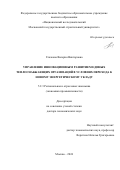 Глазкова Валерия Викторовна. Управление инновационным развитием единых теплоснабжающих организаций в условиях перехода к новому энергетическому укладу: дис. доктор наук: 00.00.00 - Другие cпециальности. ФГБОУ ВО «Национальный исследовательский Московский государственный строительный университет». 2024. 435 с.