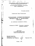 Гамидуллаев, Букар Нагметулаевич. Управление конверсионными процессами в экономике России: На материалах Поволжского региона: дис. доктор экономических наук: 08.00.05 - Экономика и управление народным хозяйством: теория управления экономическими системами; макроэкономика; экономика, организация и управление предприятиями, отраслями, комплексами; управление инновациями; региональная экономика; логистика; экономика труда. Москва. 1998. 352 с.
