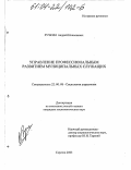 Ручкин, Андрей Николаевич. Управление профессиональным развитием муниципальных служащих: дис. кандидат социологических наук: 22.00.08 - Социология управления. Саратов. 2003. 162 с.