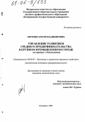 Порохин, Антон Владимирович. Управление развитием среднего предпринимательства в крупном промышленном городе: На примере г. Новокузнецка: дис. кандидат экономических наук: 08.00.05 - Экономика и управление народным хозяйством: теория управления экономическими системами; макроэкономика; экономика, организация и управление предприятиями, отраслями, комплексами; управление инновациями; региональная экономика; логистика; экономика труда. Кемерово. 2005. 145 с.