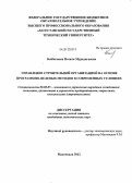 Бейбалаева, Назиля Мурадагаевна. Управление строительной организацией на основе программно-целевых методов в современных условиях: дис. кандидат экономических наук: 08.00.05 - Экономика и управление народным хозяйством: теория управления экономическими системами; макроэкономика; экономика, организация и управление предприятиями, отраслями, комплексами; управление инновациями; региональная экономика; логистика; экономика труда. Махачкала. 2012. 152 с.