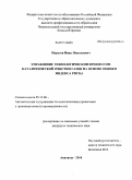 Морозов, Иван Николаевич. Управление технологическим процессом каталитической очистки газов на основе оценки индекса риска: дис. кандидат технических наук: 05.13.06 - Автоматизация и управление технологическими процессами и производствами (по отраслям). Апатиты. 2010. 197 с.