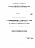 Романова, Александра Владимировна. Условия формирования осадков Охотского моря в позднем плейстоцене-голоцене: по данным фораминиферового анализа: дис. кандидат наук: 25.00.01 - Общая и региональная геология. Владивосток. 2014. 143 с.
