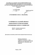 Стогниенко, Ольга Ивановна. Устойчивость сахарной свеклы к церкоспорозу и отбор исходных селекционных форм в условиях ЦЧР: дис. кандидат биологических наук: 06.01.05 - Селекция и семеноводство. Рамонь. 2007. 189 с.