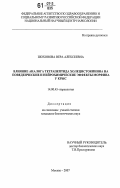 Шохонова, Вера Алексеевна. Влияние аналога тетрапептида холецистокинина на поведенческие и нейрохимические эффекты морфина у крыс: дис. кандидат биологических наук: 14.00.45 - Наркология. Москва. 2007. 130 с.