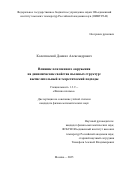 Колотинский Даниил Александрович. Влияние плазменного окружения на динамические свойства пылевых структур: вычислительный и теоретический подходы: дис. кандидат наук: 00.00.00 - Другие cпециальности. ФГБОУ ВПО «Калужский государственный университет им. К.Э. Циолковского». 2025. 131 с.