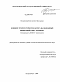 Письменный, Константин Николаевич. Влияние температурного фактора на вызванный мышечный тонус человека: дис. кандидат биологических наук: 03.00.13 - Физиология. Петрозаводск. 2009. 147 с.