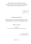 Владимиров, Сергей Игоревич. Вооружение и военное дело населения Доно-Донецкой лесостепи во второй половине VIII - начале X вв.: салтово-маяцкая культура: дис. кандидат наук: 07.00.06 - Археология. Воронеж. 2017. 310 с.