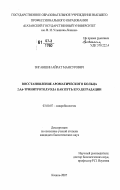 Зиганшин, Айрат Мансурович. Восстановление ароматического кольца 2,4,6-тринитротолуола как путь его деградации: дис. кандидат биологических наук: 03.00.07 - Микробиология. Казань. 2007. 122 с.
