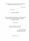 Куля, Максим Сергеевич. Восстановление фазовых характеристик поля и анализ изображения фазового объекта в импульсной терагерцовой голографии с разрешением во времени: дис. кандидат наук: 01.04.05 - Оптика. Санкт-Петербург. 2014. 111 с.
