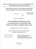 Дюкин, Роман Владимирович. Возбуждение волноводных мод в полупроводниках при воздействии фемтосекундных лазерных импульсов: дис. кандидат технических наук: 05.27.03 - Квантовая электроника. Санкт-Петербург. 2011. 134 с.