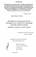 Дронина, Мария Алексеевна. Воздействие эндотоксинов Bacillus thuringiensis ssp. israelensis на кишечный эпителий личинок комаров Anopheles stephensi и Aedes aegypti: дис. кандидат биологических наук: 03.00.09 - Энтомология. Москва. 2007. 206 с.