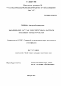 Ляшенко, Виктория Владимировна. Выравнивание нагрузок колес электровоза на рельсы в условиях текущего ремонта: дис. кандидат технических наук: 05.22.07 - Подвижной состав железных дорог, тяга поездов и электрификация. Самара. 2006. 132 с.