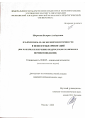 Шорохова Валерия Альбертовна. Взаимосвязь религиозной идентичности и ценностных ориентаций (на материале изучения подростков различного вероисповедания): дис. кандидат наук: 19.00.05 - Социальная психология. . 2020. 220 с.