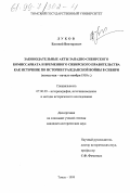 Луков, Евгений Викторович. Законодательные акты Западно-Сибирского комиссариата и Временного Сибирского правительства как источник по истории гражданской войны в Сибири, конец мая - начало ноября 1918 г.: дис. кандидат исторических наук: 07.00.09 - Историография, источниковедение и методы исторического исследования. Томск. 1999. 224 с.