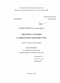 Садовский, Иван Александрович. Зарядовые состояния в андреевской квантовой точке: дис. кандидат физико-математических наук: 01.04.02 - Теоретическая физика. Москва. 2010. 126 с.